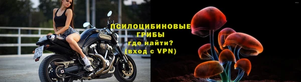 прущая мука Аркадак
