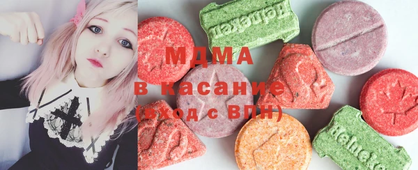 гашик Тайга