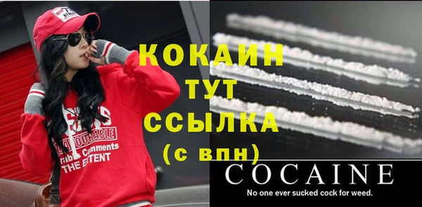 гашик Тайга